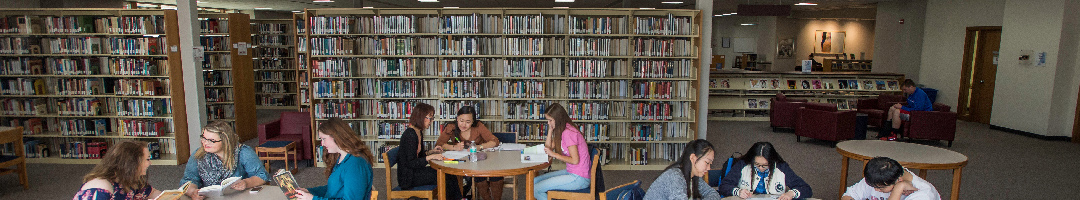 UW Fox Cities Library Interior